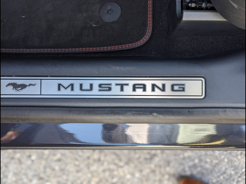 Photo 14 de l’annonce de FORD Mustang Mach-E d’occasion à vendre à CHAMBERY